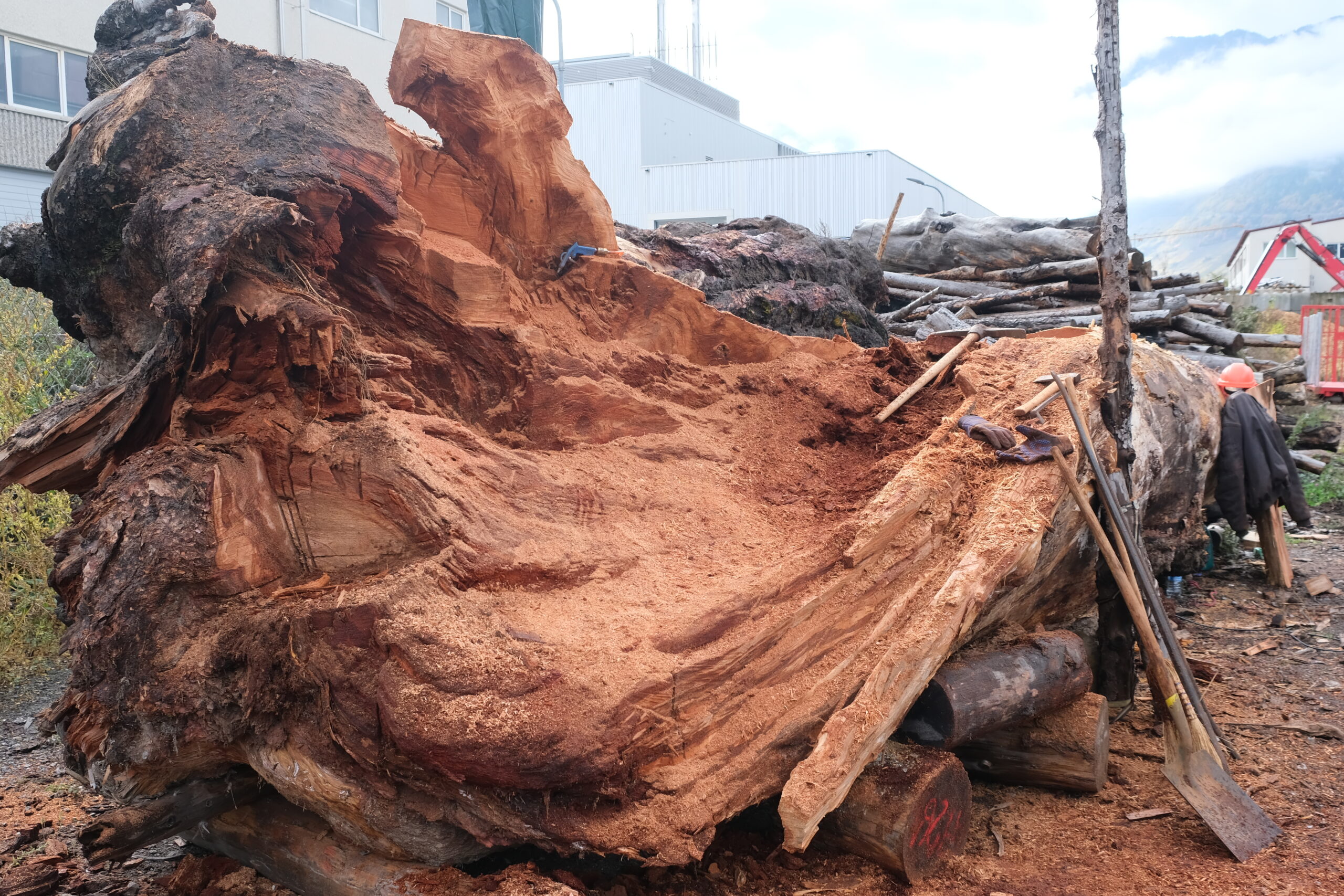 Triage forestier Martigny