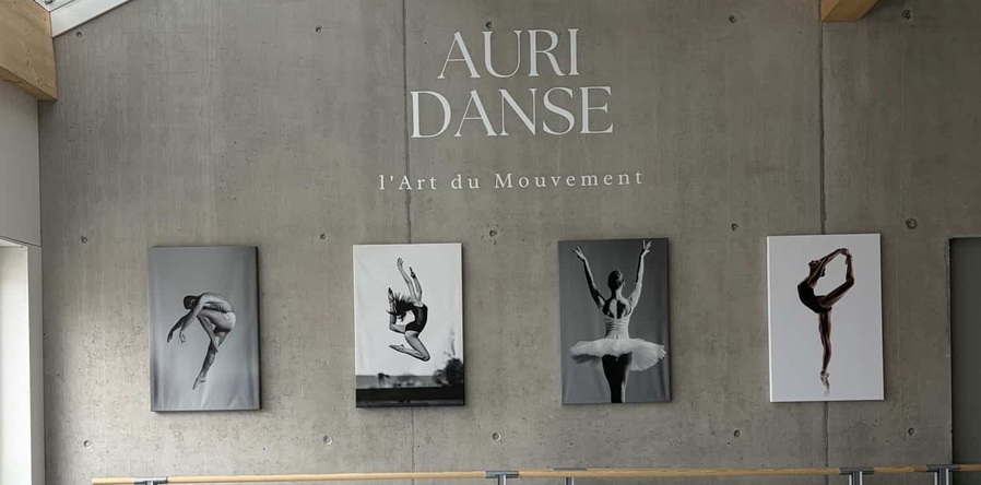 Auri Danse Studio