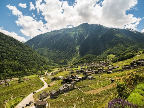 Le chemin de Vuardette