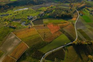 Le terroir authentique