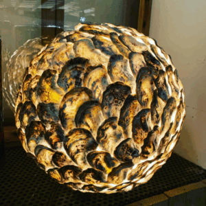 Oysterlamp Barbara Odaert
