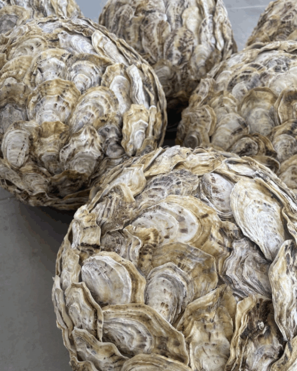 Oysterlamp Barbara Odaert – Image 2