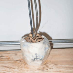 Vase en céramique Cassandre Tornay