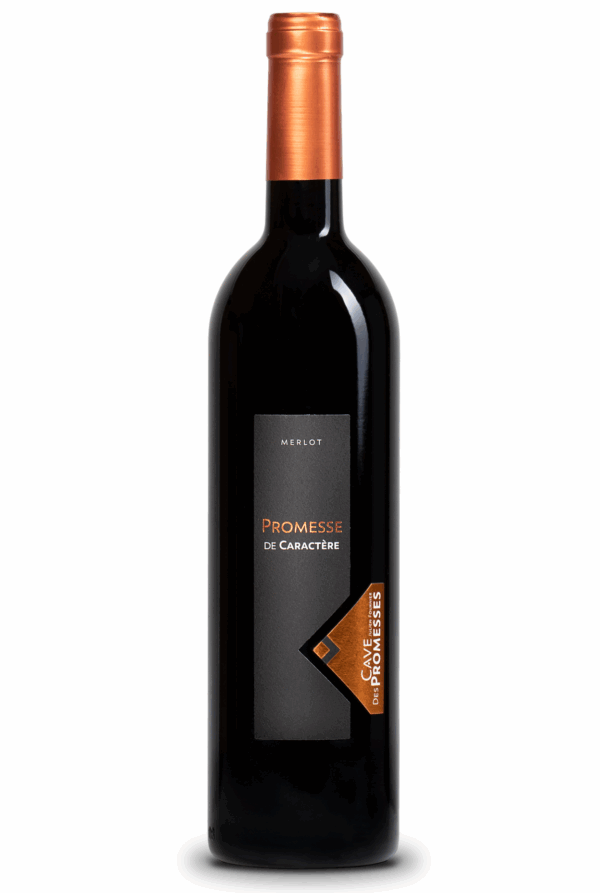 Merlot Cave des Promesses