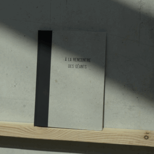 Carnet "à la rencontre des géants"