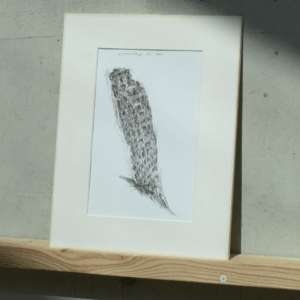 Croquis "à la rencontre des géants"