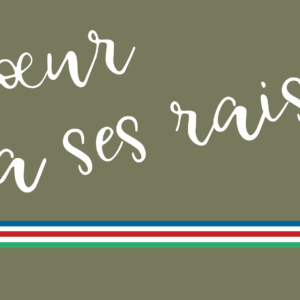 Vins