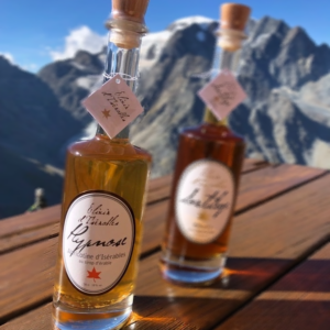 Elixir d'Isérables Hypnose